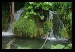 Plitvice -11-07-2013 - Bogdan Balaban